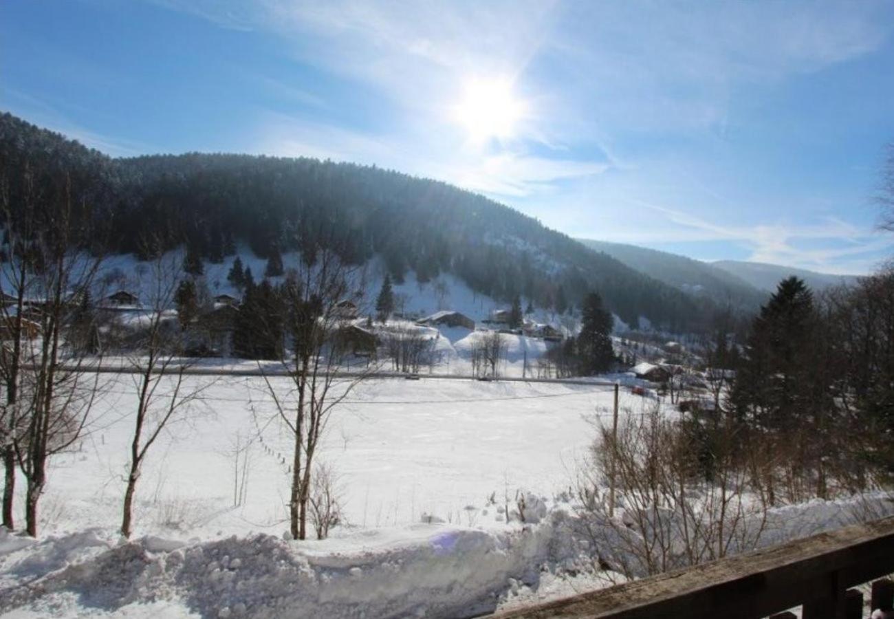 Le Grand Cerf En Rondins Avec Jacuzzi Chalet La Bresse
